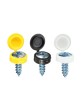 Number plate fixing screws